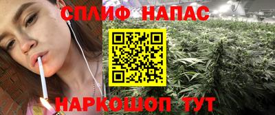 mdpv Можга