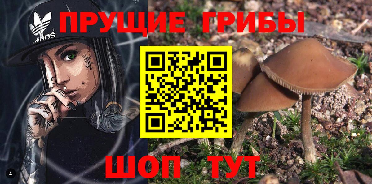 Псилоцибиновые грибы GOLDEN TEACHER  Вход с VPN  Великие Луки 