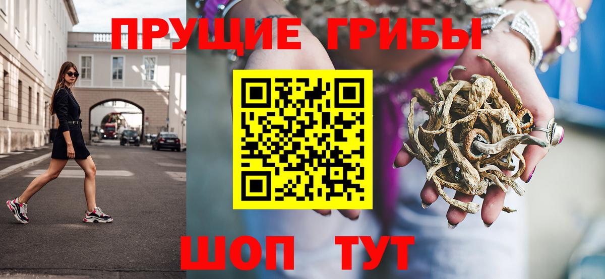 Псилоцибиновые грибы мухоморы Великие Луки